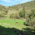 Omaña - Puente del Pilar 2026 - cuerda larga guadarrama fotos lagos de covadonga nuestros findes las